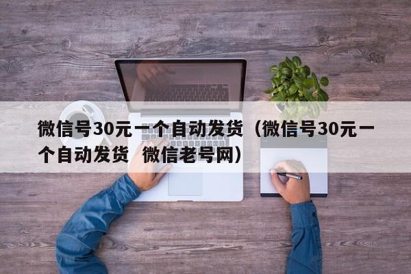 微信号30元一个自动发货（微信号30元一个自动发货  微信老号网）