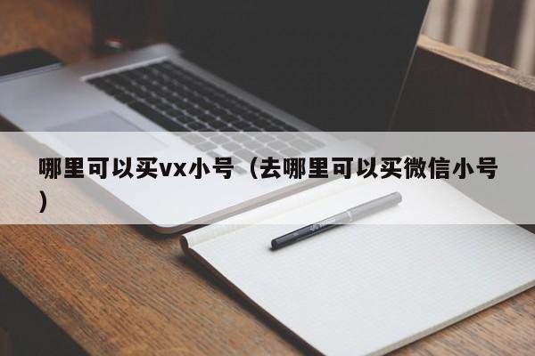 哪里可以买vx小号（去哪里可以买微信小号）