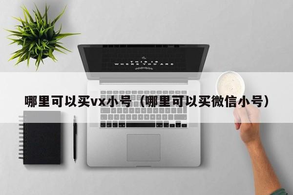 哪里可以买vx小号（哪里可以买微信小号）