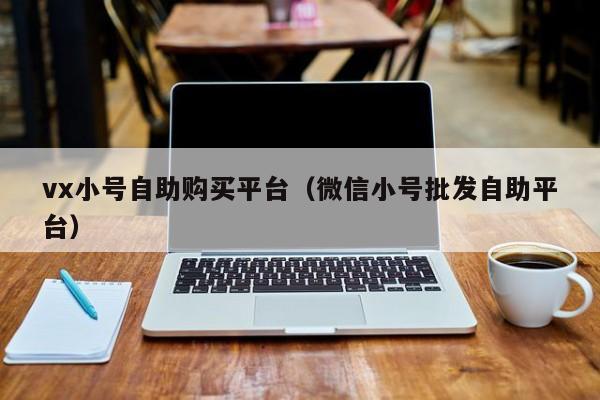 vx小号自助购买平台（微信小号批发自助平台）